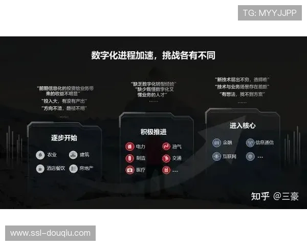 退役选手积极转型解说与分析师推动赛事人才生态逐步完善发展 退役选手积极转型解说与分析师推动赛事人才生态逐步完善发展