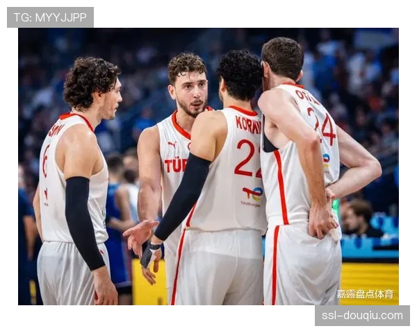 从青训到核心：申京的“伊斯坦布尔计划”与约基奇差距